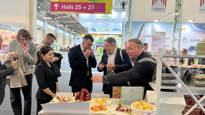 Vietnamese novel fruits have won the taste of European consumers. (Photo: VNA)