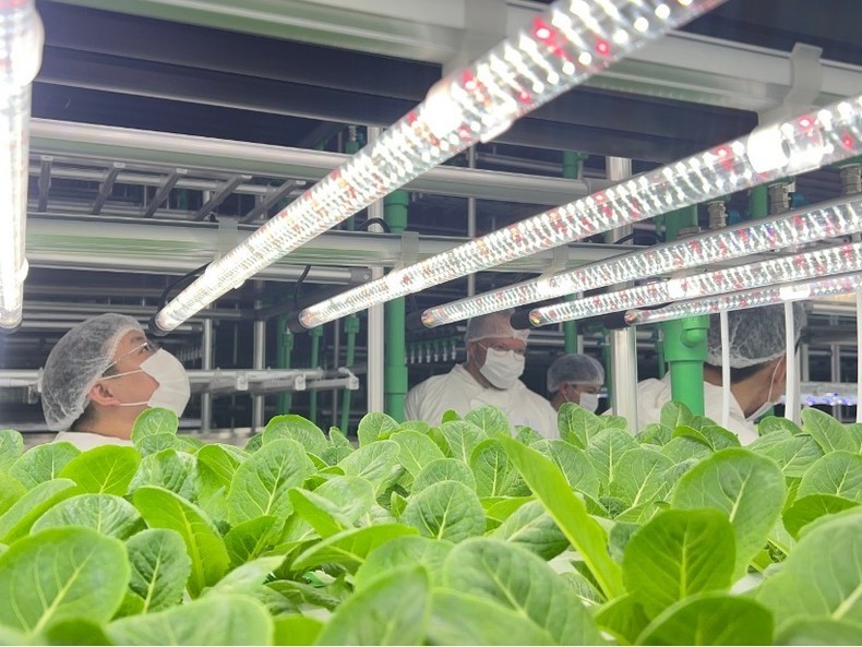 A leap forward needed for high-tech agriculture 