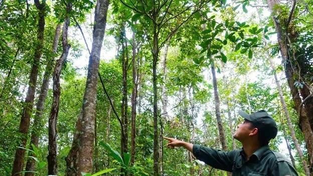 The specialised force on patrol to protect the forests