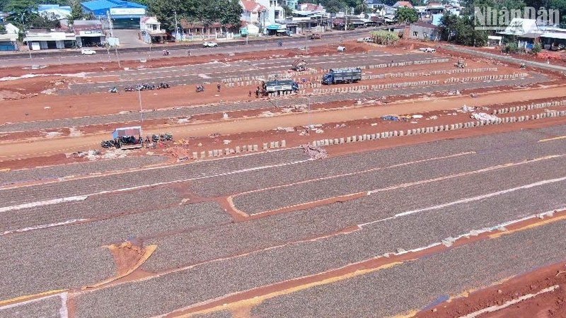 Businesses use vacant land as yards to dry cashew. (Photo: NDO)