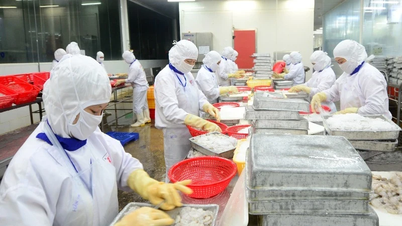 Vietnamese seafood are widely available in global retail systems