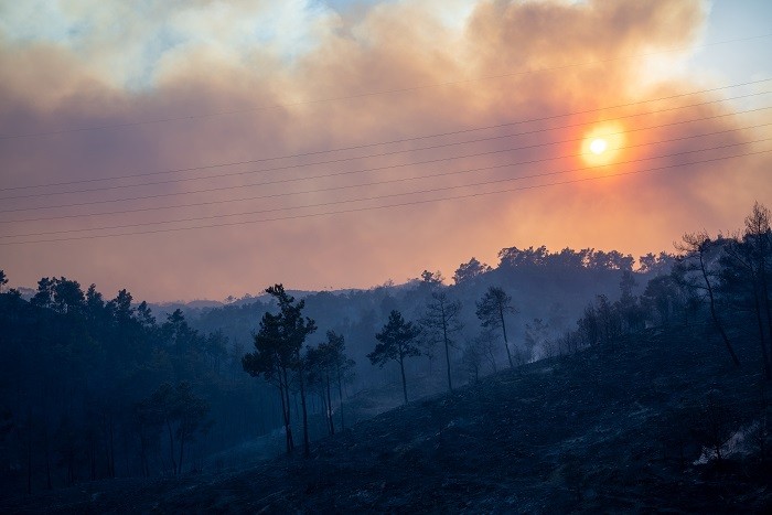 Italian region of Calabria hit by wild fires, heat to intensify