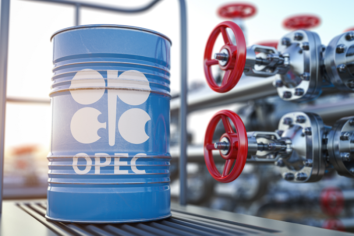 The Joint Ministerial Monitoring Committee (JMMC) of OPEC+, the Organization of the Petroleum Exporting Countries (OPEC) and its allies, on Thursday confirmed the oil-producer group's commitment to its current output policy.