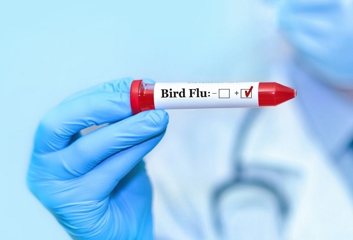 The U.S. Centers for Disease Control and Prevention (CDC) confirmed two human cases of H5 bird flu in California on Thursday, marking the first H5 human cases in the Golden State.