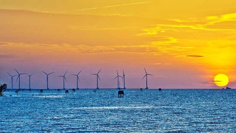 A wind farm in Bac Lieu. (Photo: Le Nguyen)