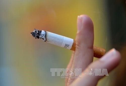 Illustrative image (Photo: VNA)
