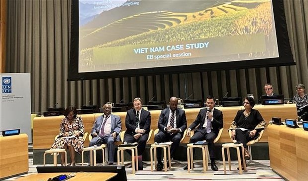 Ambassador Dang Hoang Giang (second from right), Permanent Representative of Vietnam to the UN, speaks at the dialogue. (Photo: VNA)