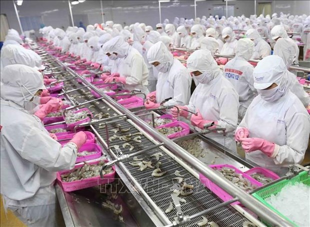 Key items like wood products, coffee, fruits and vegetables, rice, cashew nuts, and shrimp see increases in export revenue. (Photo: VNA)
