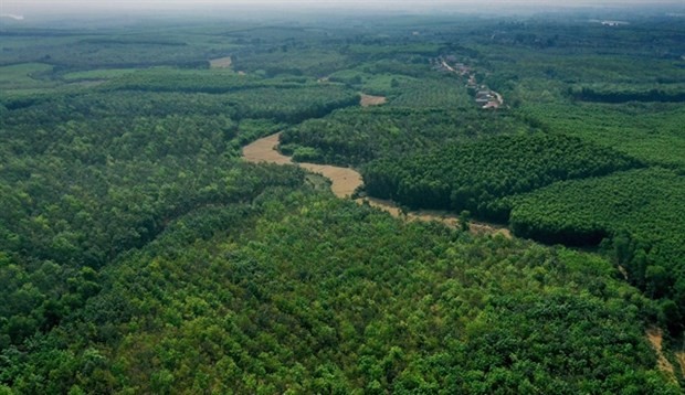 Illustrative photo (Photo: tainguyenmoitruong.vn)