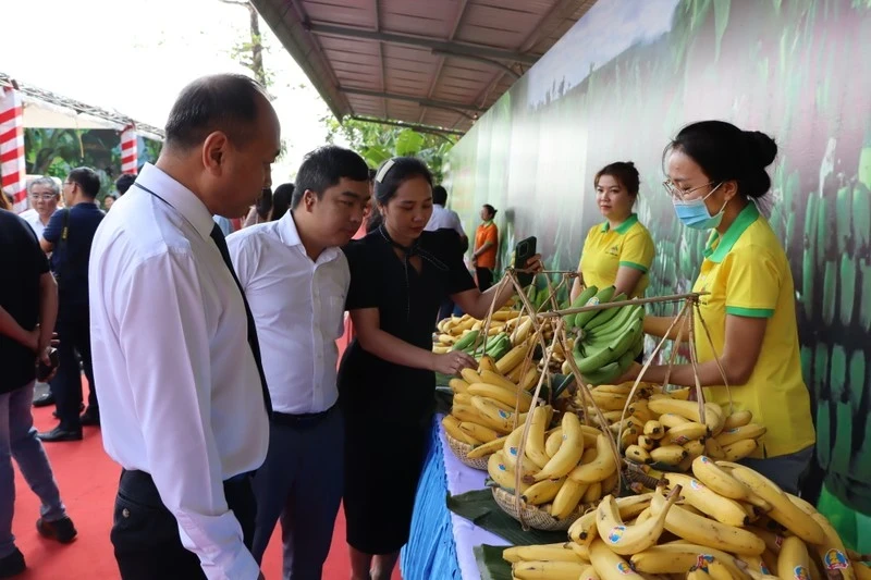 Bananas are one of the fruit products with great potential for export to Japan.