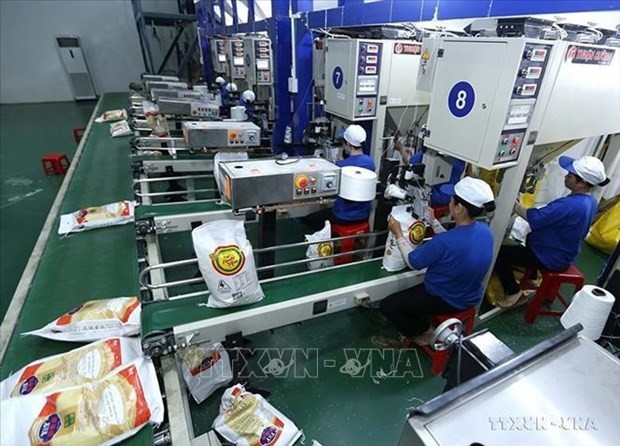 Rice production at Trung An Hi-Tech Farming JSC in Can Tho (Photo: VNA)