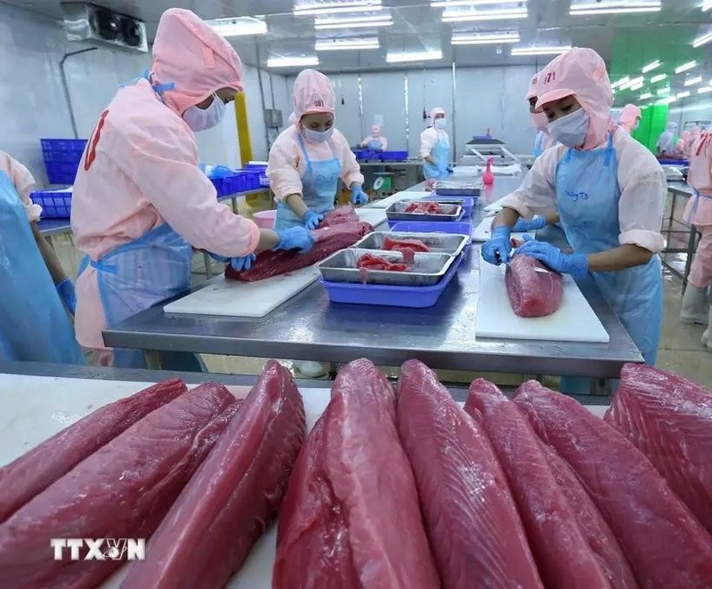 A shrimp processing line for export at a factory of Minh Phu Seafood Group. (Photo: VNA)