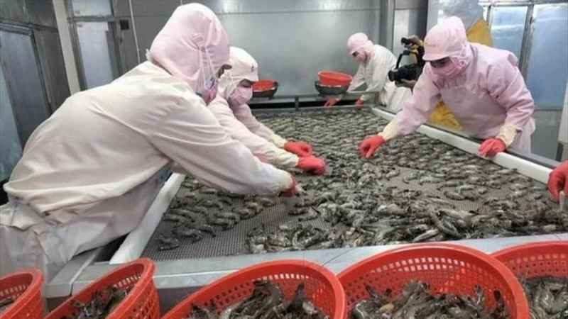 In the first 7 months of 2024, shrimp exports brought in more than 2 billion USD.