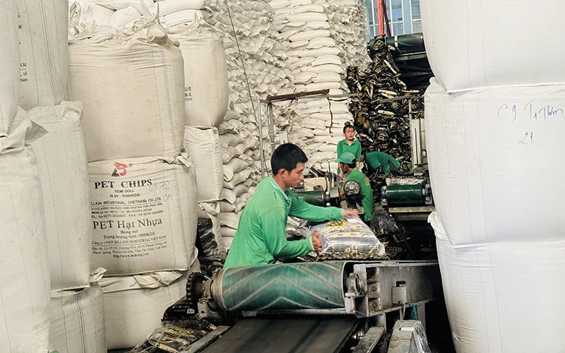 Packaging rice for export at Chon Chinh Import-Export Company, Dong Thap province.