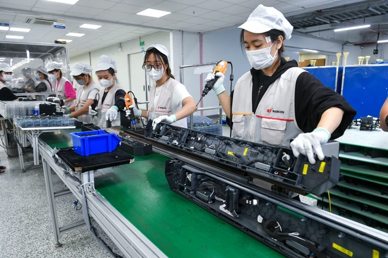 Production at Bumjin Vina Company. (Photo: Thanh Dat)