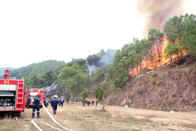 A forest fire fighting drill in Thai Nguyen city of Thai Nguyen province (Photo: VNA)