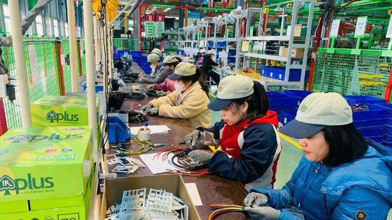 Attracting talented people is an important requirement for businesses. (Photo: BICH LIEN)