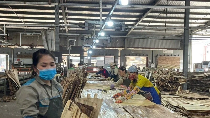 Producing plywood for export at Son Thuy Joint Stock Company, Hoa Binh province. (Photo: VU HOANG)