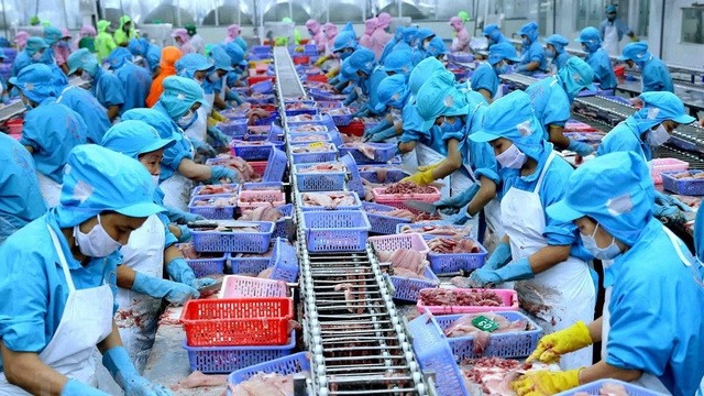 Vietnam exported US$16.1 billion worth of goods to the EU during January-May.