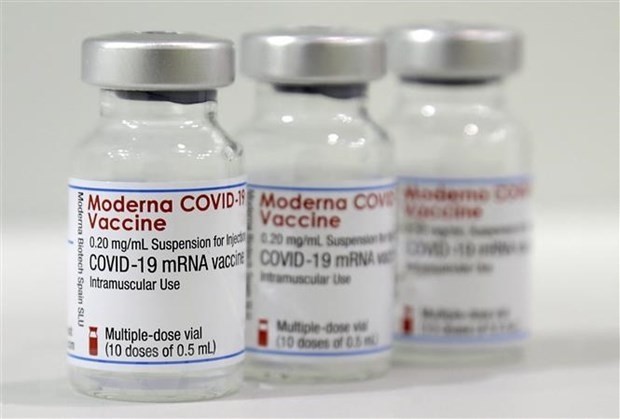 Vietnam grants conditional approval for COVID-19 Vaccine Moderna. (Photo: AFP/VNA)