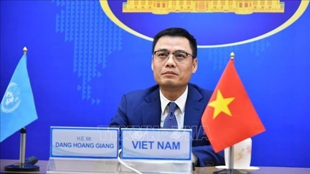 Vietnamese Deputy Minister of Foreign Affairs Dang Hoang Giang (Photo: VNA)