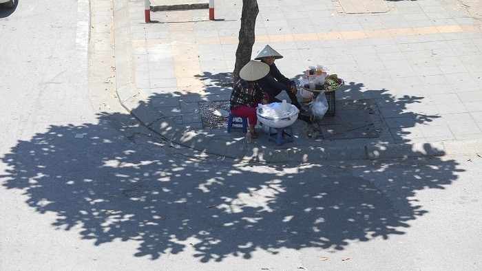 Two vendors hide in the shade of tree to avoid the extreme heat in Hanoi late June 2021. (Photo: NDO/Ha Nam)