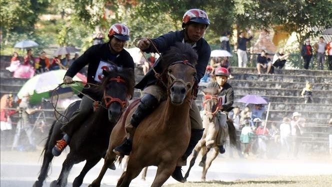 Horse racing in Na Hoi Commune, Bac Ha District.