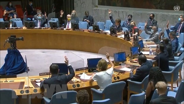 An overview of the UNSC meeting on Yemen (Photo: VNA)