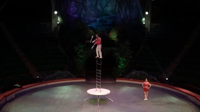 Circus artist Pham Viet Cuong performs the show "Balance on the Ladder" during the online art programme. (Photo: Screenshot)
