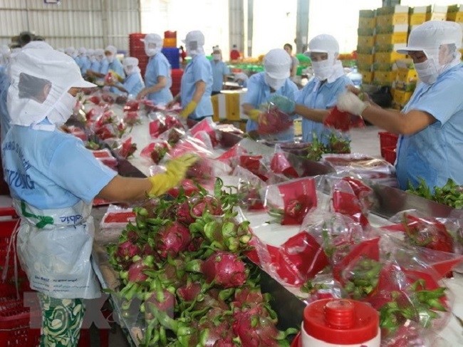 In July alone, Vietnam earned US$4.2 billion from farming exports.
