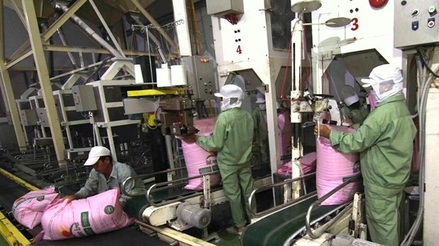 Rice is packaged for export at a factory in the Mekong Delta province of An Giang. (Photo: VNA)