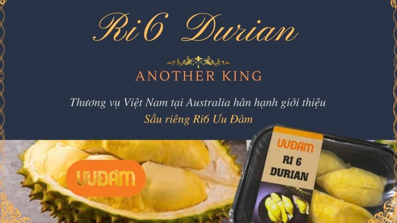 With the slogan “Ri6 Durian - Another king”, Ri6 durian actively boosting its image in Australia. (Photo:VNA)