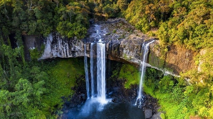 The waterfall boasts breathtaking beauty amid the dense jungle.