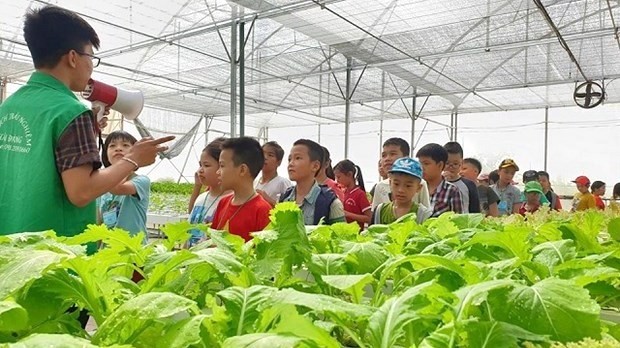 Children visit Hai Dang Farm in Thanh Tri district. (Photo: Kinhtedothi.vn)