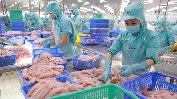 Workers process tra fish for export at a factory in Vam Cong Industrial Park in Lap Vo district, Dong Thap province (Photo: VNA)