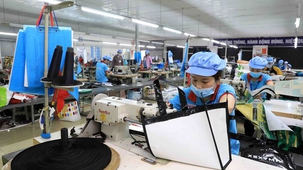 A package factory in Kim Dong district, Hung Yen province (Photo: VNA)