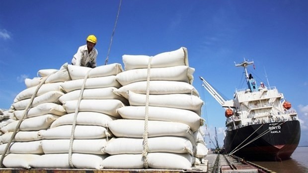 Rice is a potential item for Vietnam to export to the Italian market. (Photo baochinhphu.vn)
