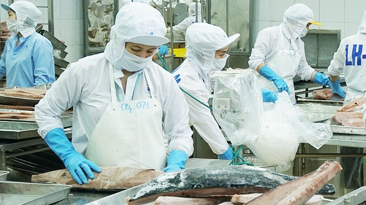 Administrative procedure reforms create favourable conditions for seafood enterprises to export their products. (Photo: HAI NAM)