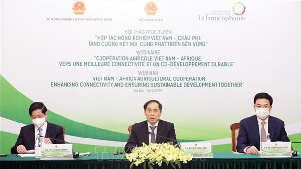Foreign Minister Bui Thanh Son speaks at the event (Photo: VNA)