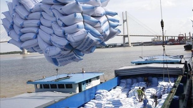Loading and unloading rice for export at Saigon port.  (Source: VNA)