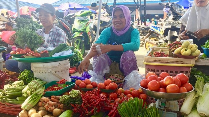 FAO will continue working with Indonesian government to provide protection to smallholder farmers and their families. (Photo: ANTARA/HO-FAO Indonesia)