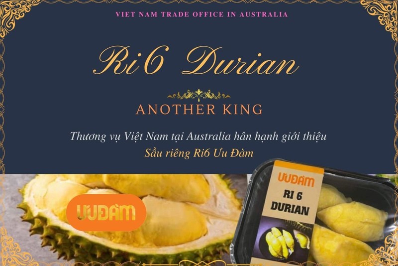 Uu Dam Australia posts its successful distribution of 80 tonnes of frozen Ri6 durians, with the company soon receiving more 49 tonnes. (Illustrative image/Photo: BCT)