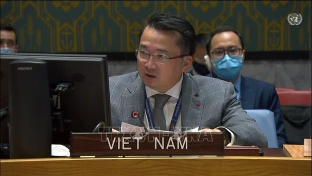 Ambassador Pham Hai Anh, Deputy Permanent Representative of Vietnam to the United Nations. (Photo: VNA)