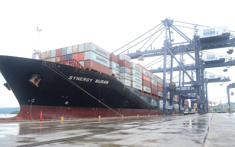 The vessel Synergy Busan arrives at Cai Lan International Container Terminal in Ha Long City, Quang Ninh Province, on September 14. (Photo: VNA)