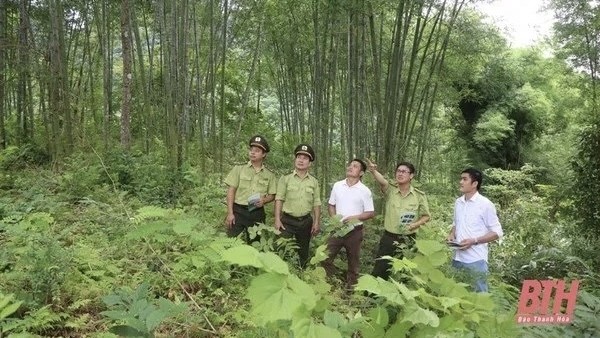 Thanh Hoa has issued a decision approving a plan to conserve and develop the Pu Luong Natural Reserve in a sustainable manner (Source: baothanhhoa.vn)
