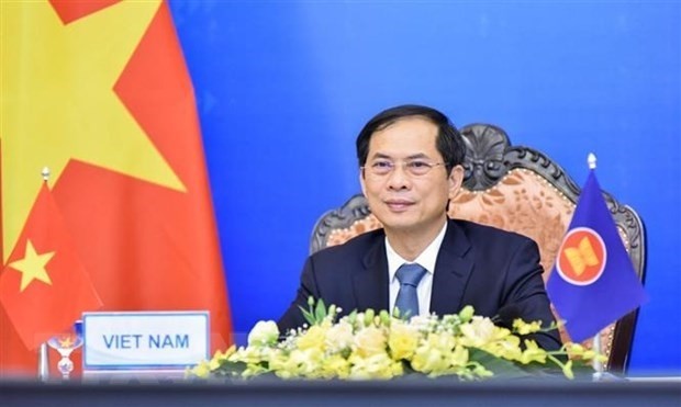 Minister of Foreign Affairs Bui Thanh Son. (Photo: VNA)