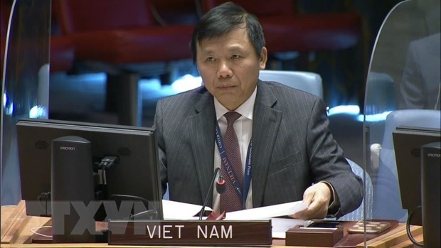 Vietnamese Ambassador Dang Dinh Quy (Photo:VNA)