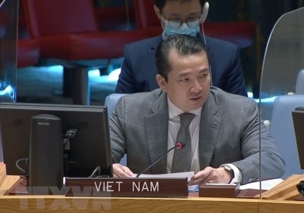 Ambassador and Deputy  Permanent Representative of Vietnam to the UN Pham Hai Anh. (Photo: VNA)