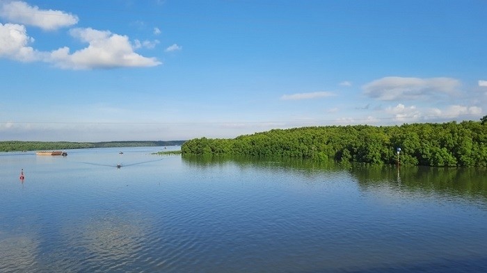 A corner of Can Gio Mangrove Biosphere Reserve in Ho Chi Minh City