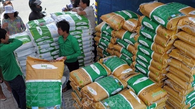 Cambodian rice (Photo: AFP/VNA)